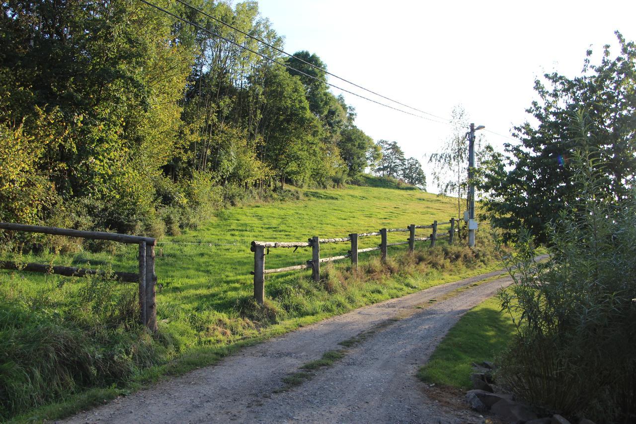 הוילה Bystrá nad Jizerou Ranch Bystra מראה חיצוני תמונה